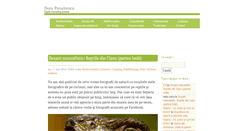 Desktop Screenshot of dorupanaitescu.ro